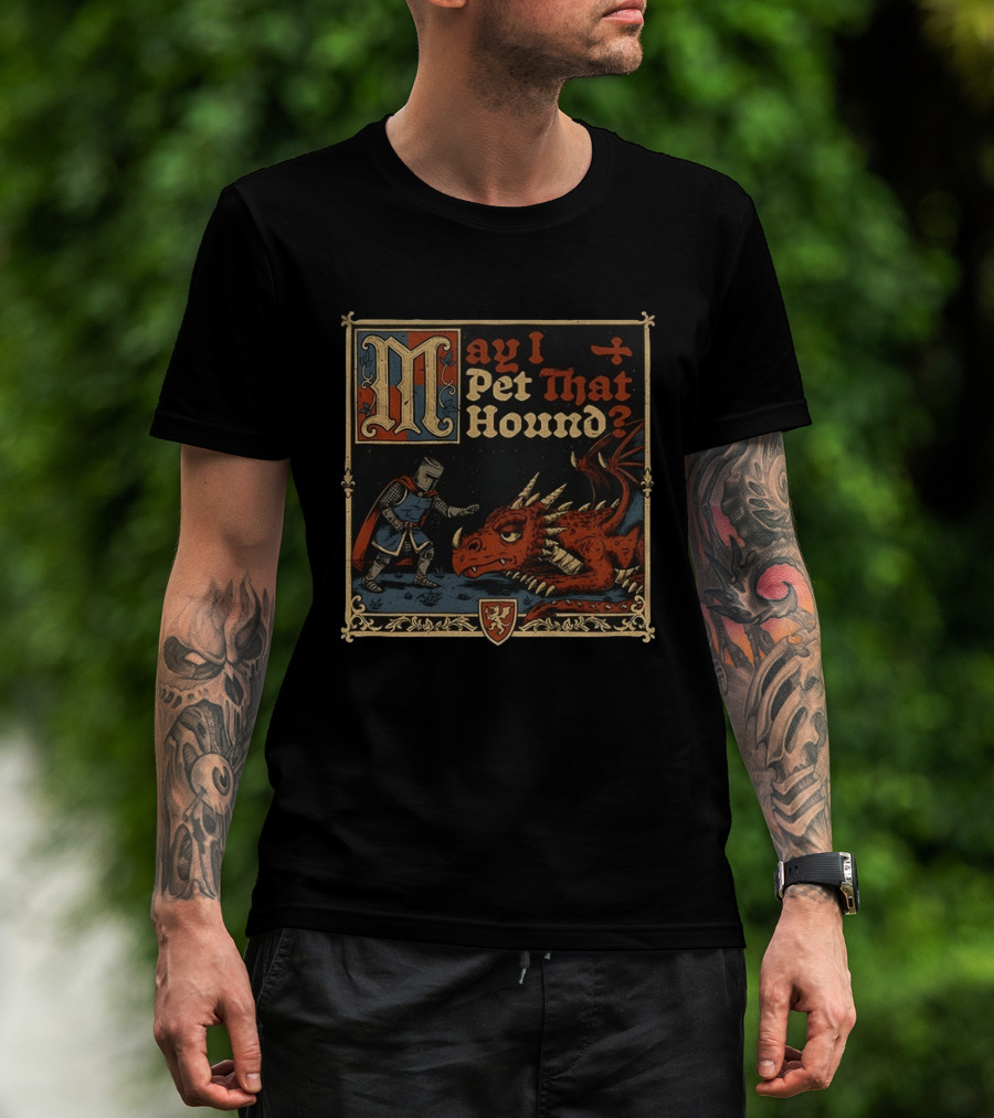May I Pet That Hound Medieval Knight And Dragon Meme T-Shirt