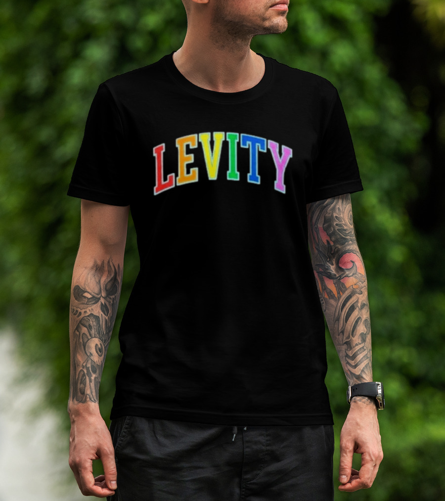 Levity You Will Now Experience Levity T-Shirt