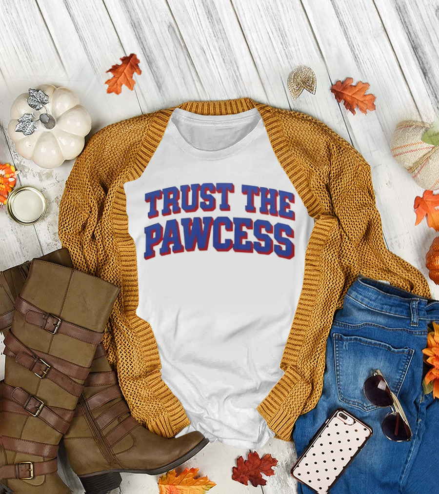 Trust The Pawcess Blue Red Arched 3D Wood Grain T-Shirt