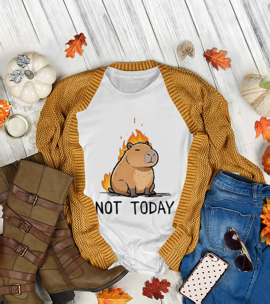 Capybara On Fire Not Today Calm Meme T-Shirt