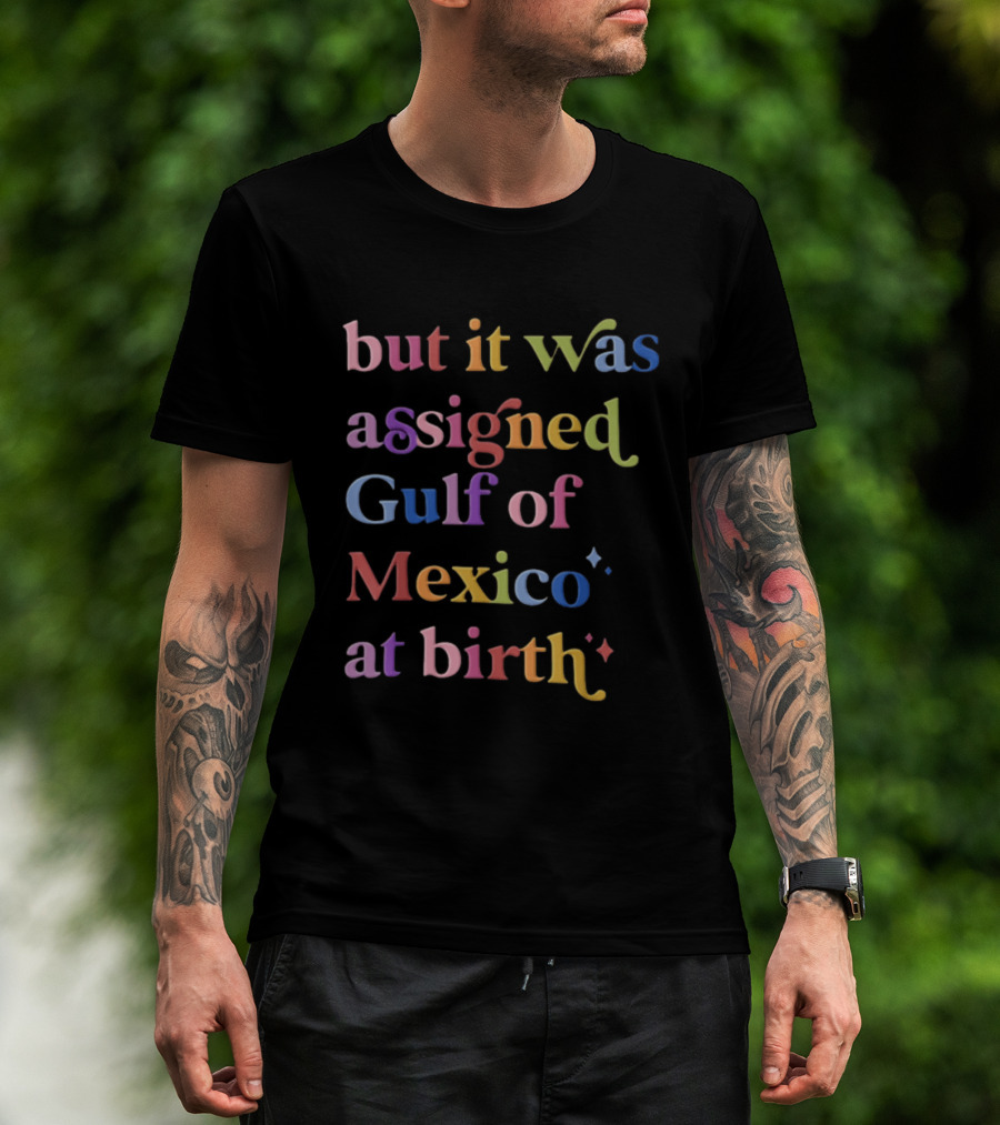 But It Was Assigned Gulf Of Mexico At Birth Rainbow T-Shirt