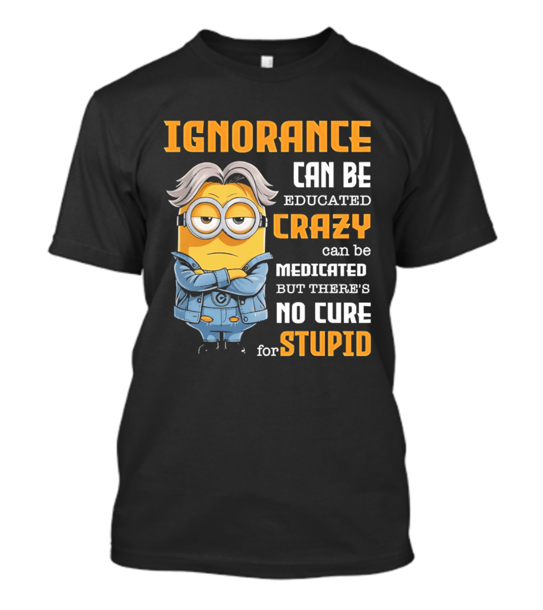 Ignorance Can Be Educated Crazy Can Be Medicated No Cure For Stupid Minion T-Shirt