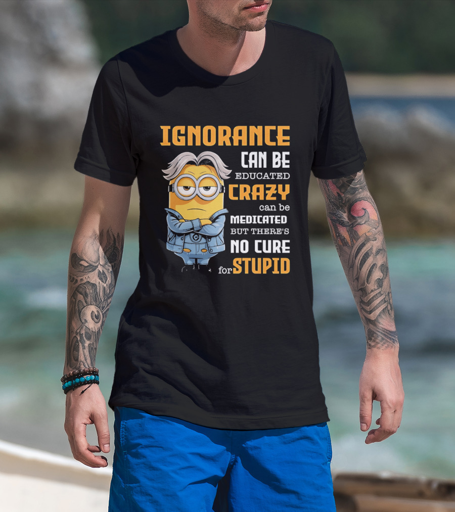 Ignorance Can Be Educated Crazy Can Be Medicated No Cure For Stupid Minion T-Shirt