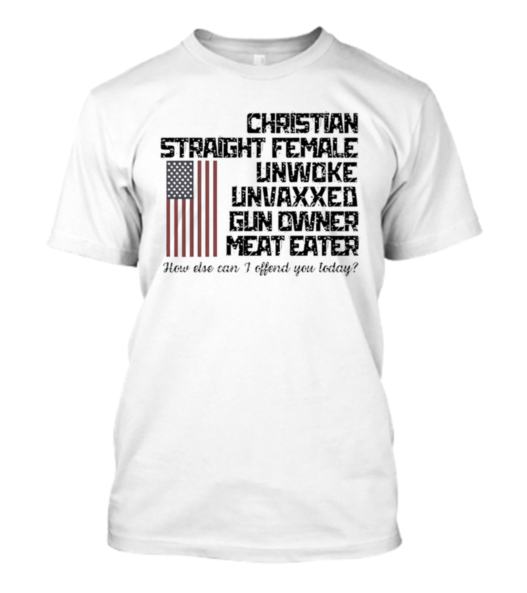 Christian Straight Female Unwoke Unvaxxed Gun Owner Meat Eater How Else Can I Offend You Today USA Flag T-Shirt