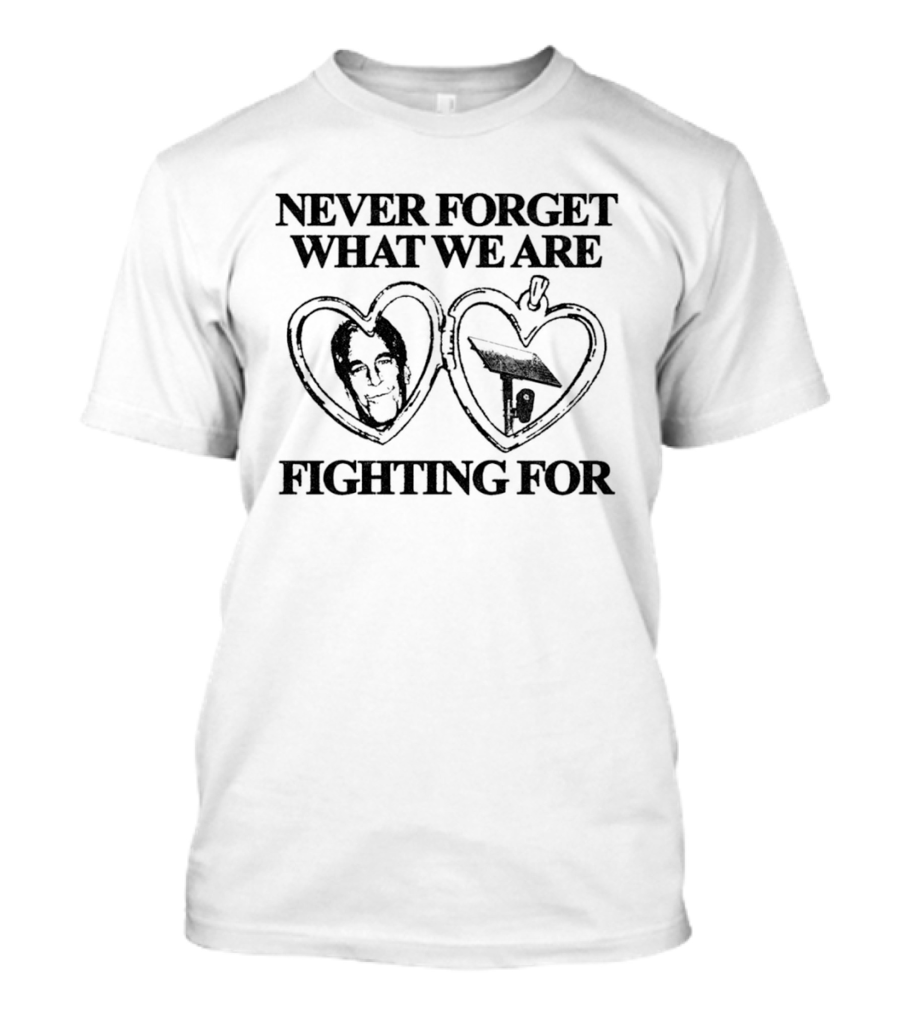 Never Forget What We Are Fighting For Epstein Camera Hearts T-Shirt