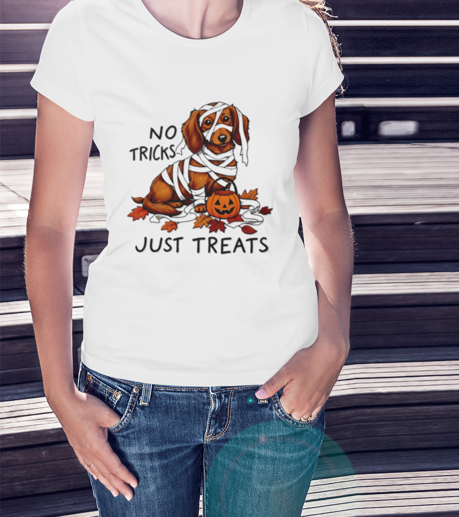 No Tricks Just Treats Dachshund Mummy Halloween Pumpkin Dog T-Shirt