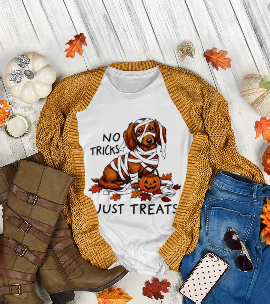 No Tricks Just Treats Dachshund Mummy Halloween Pumpkin Dog T-Shirt