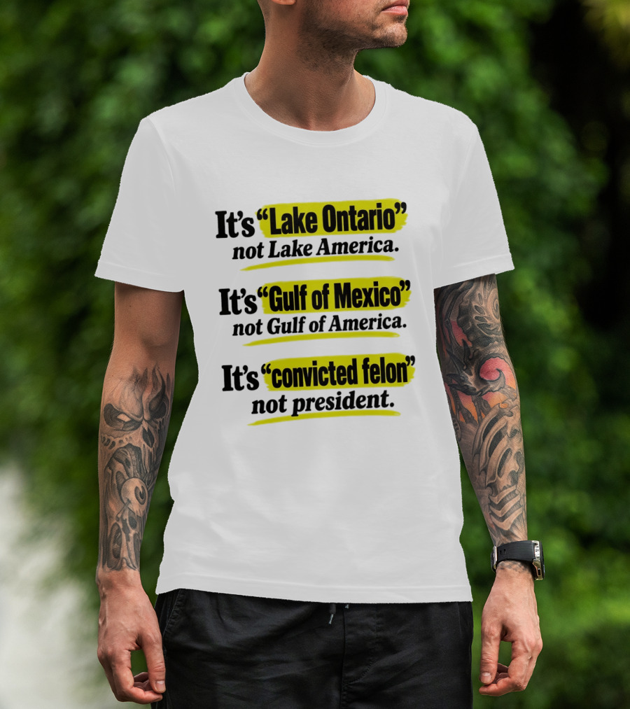 It's Lake Ontario Not Lake America Gulf Of Mexico Not Gulf Of America Convicted Felon Not President T-Shirt