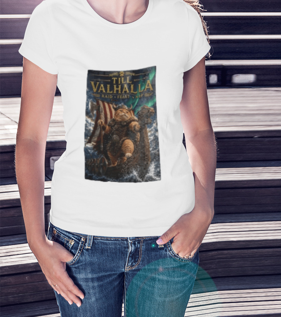 Till Valhalla Raid Feast Nap Viking Cat On Longship With Northern Lights T-Shirt