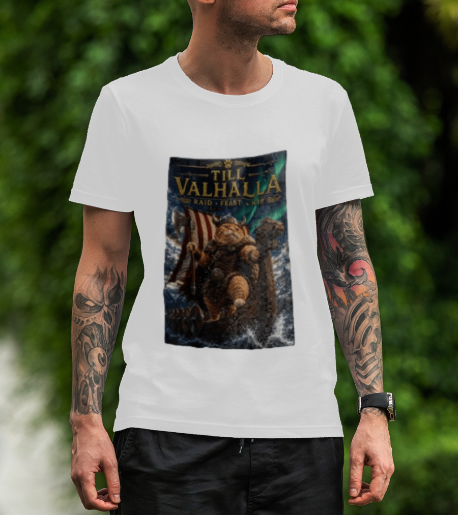 Till Valhalla Raid Feast Nap Viking Cat On Longship With Northern Lights T-Shirt