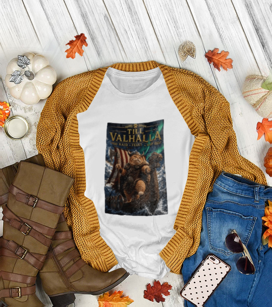 Till Valhalla Raid Feast Nap Viking Cat On Longship With Northern Lights T-Shirt