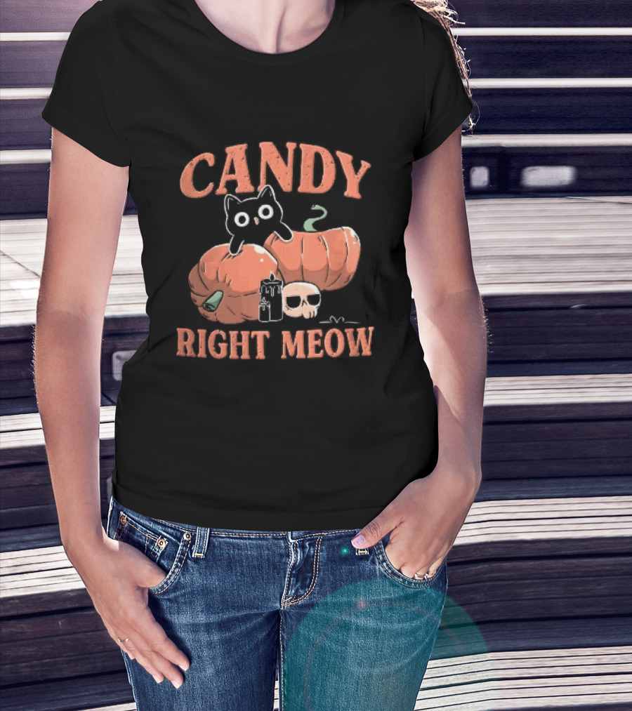 Candy Right Meow Black Cat Pumpkins Candles Skull Halloween T-Shirt