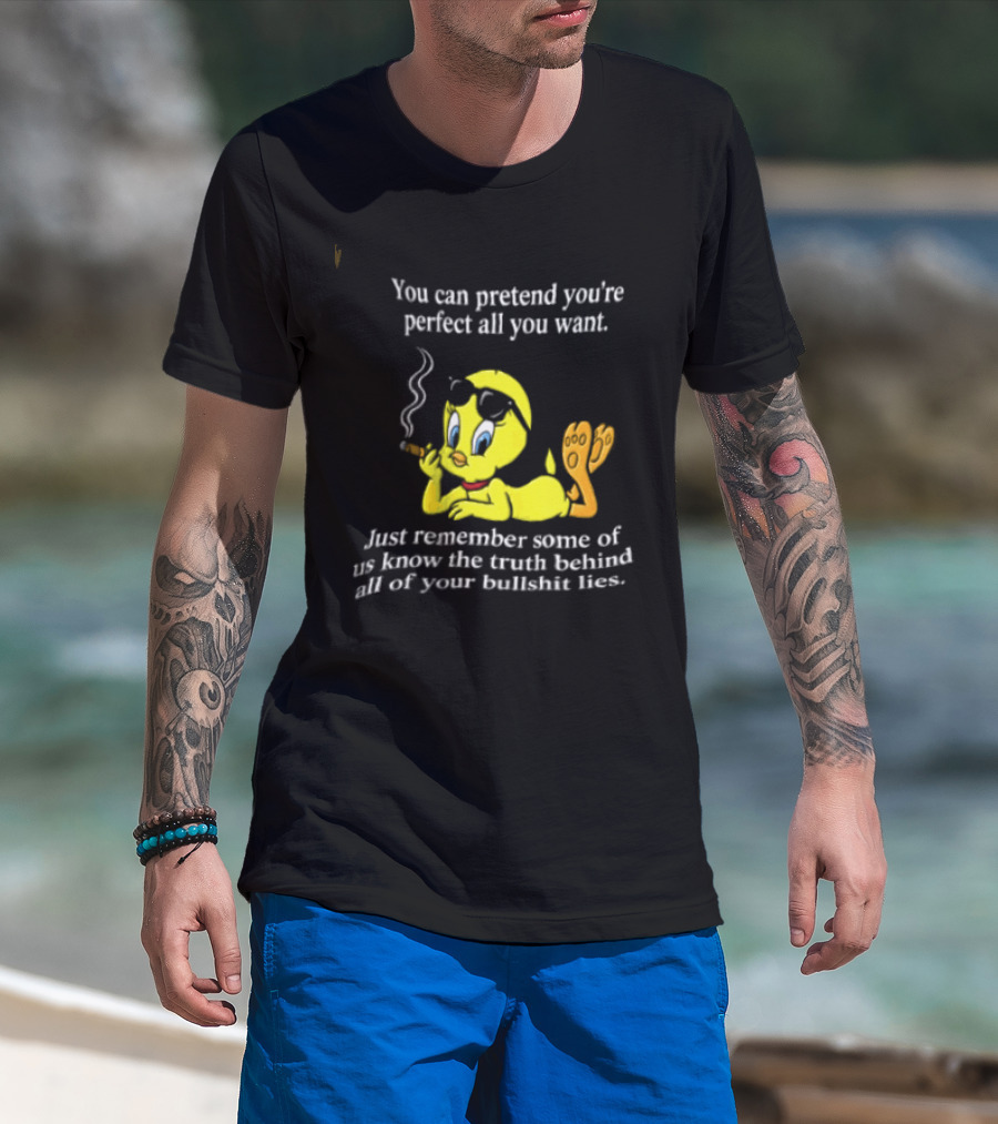 You Can Pretend Youre Perfect All You Want Just Remember Some Of Us Know The Truth Behind All Of Your Bullshit Lies Tweety Bird Smoking T-Shirt