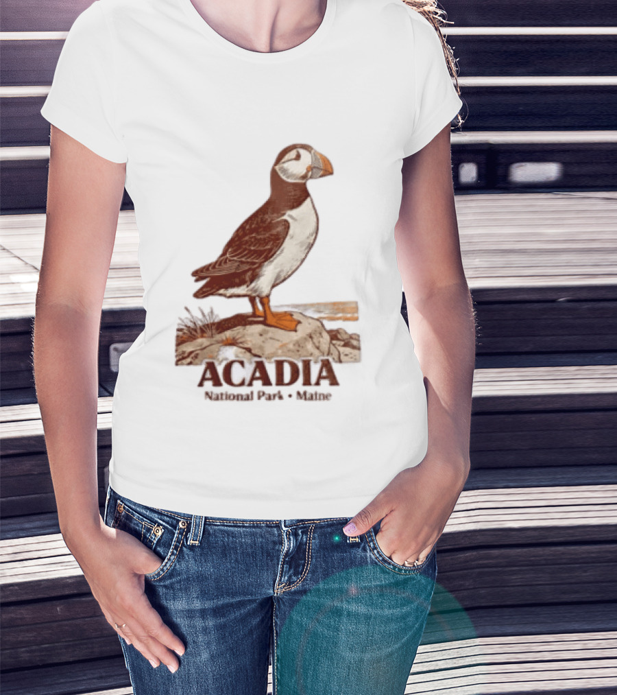 Acadia National Park Maine Puffin Standing On Rock T-Shirt