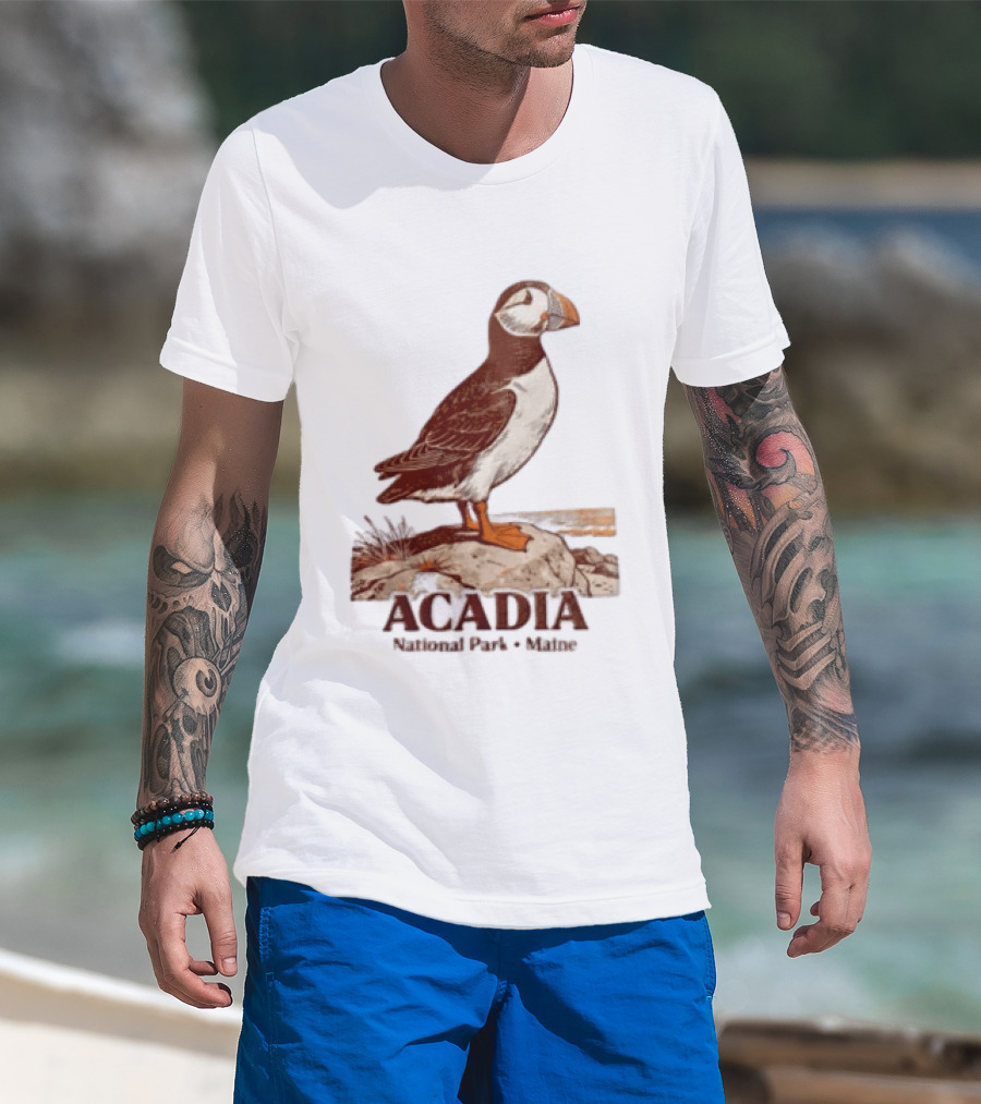 Acadia National Park Maine Puffin Standing On Rock T-Shirt
