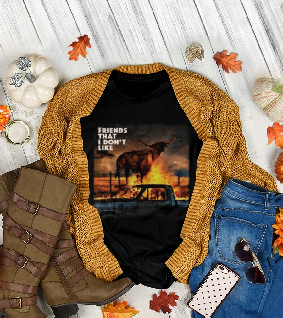 FRIENDS THAT I DON'T LIKE Dexter And The Moonrocks Store Fire Album T-Shirt