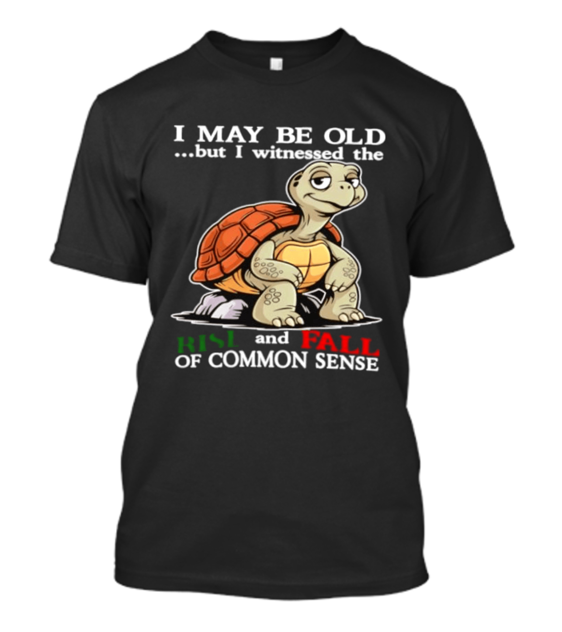 I May Be Old But I Witnessed The Rise And Fall Of Common Sense Turtle T-Shirt