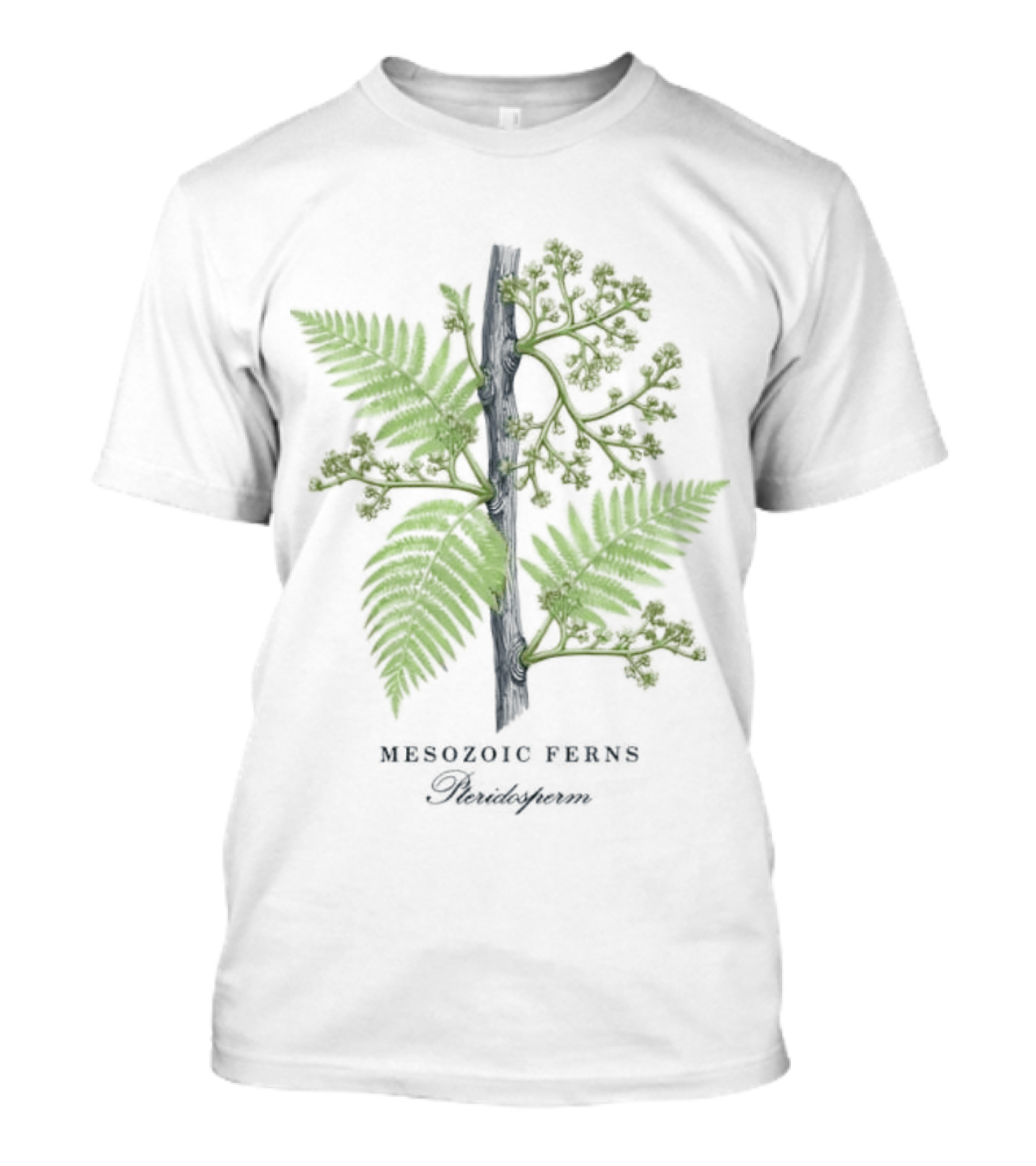 Mesozoic Ferns Pteridosperm Botanical Plant Science Nature T-Shirt