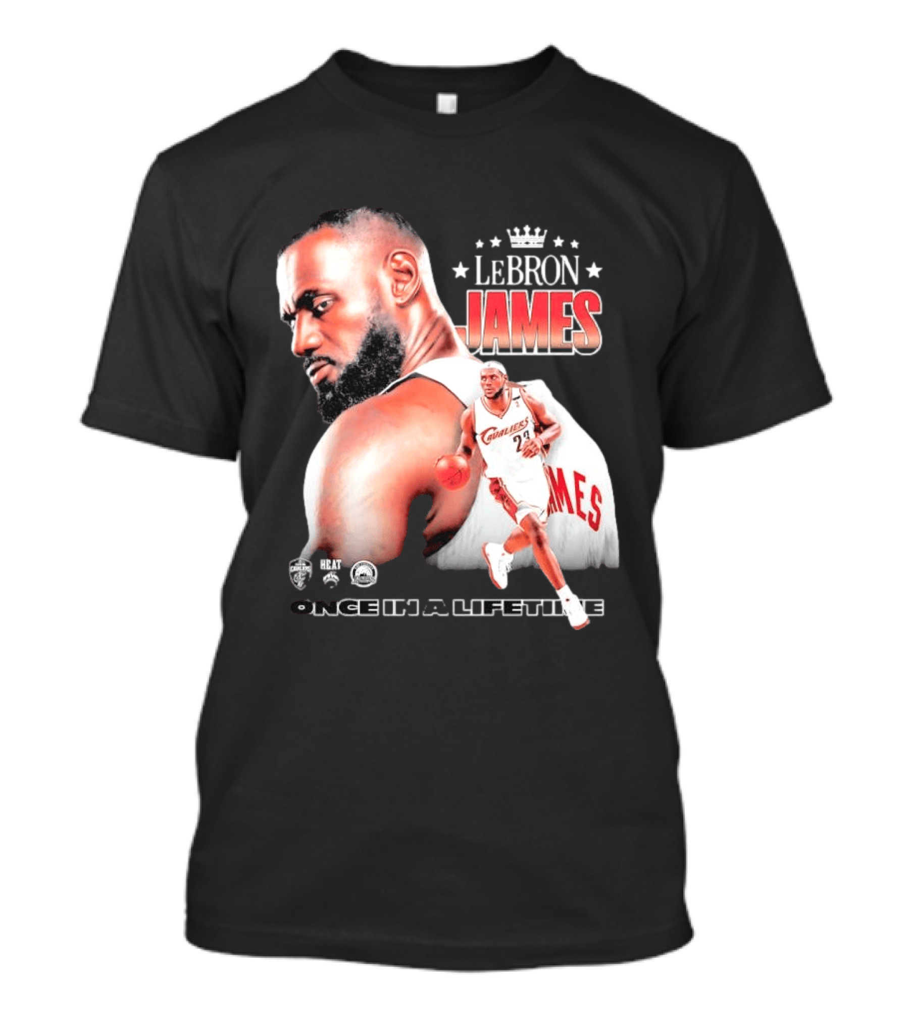 LeBron James Cleveland Cavaliers Once In A Lifetime NBA Heat Championships T-Shirt