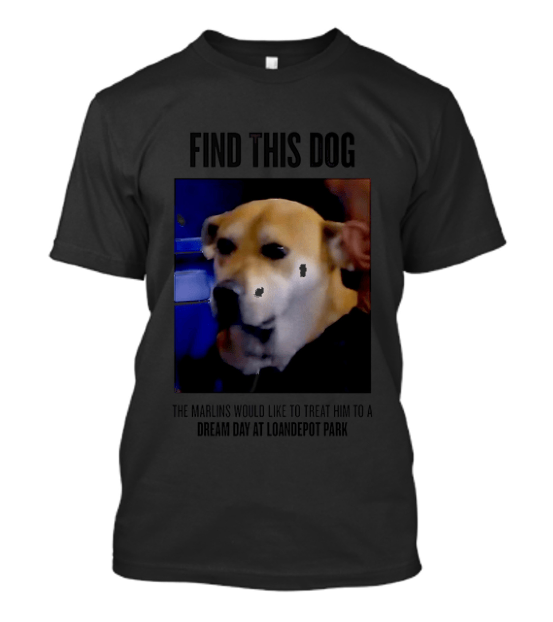Find This Dog Marlins Dream Day Loandepot Park T-Shirt