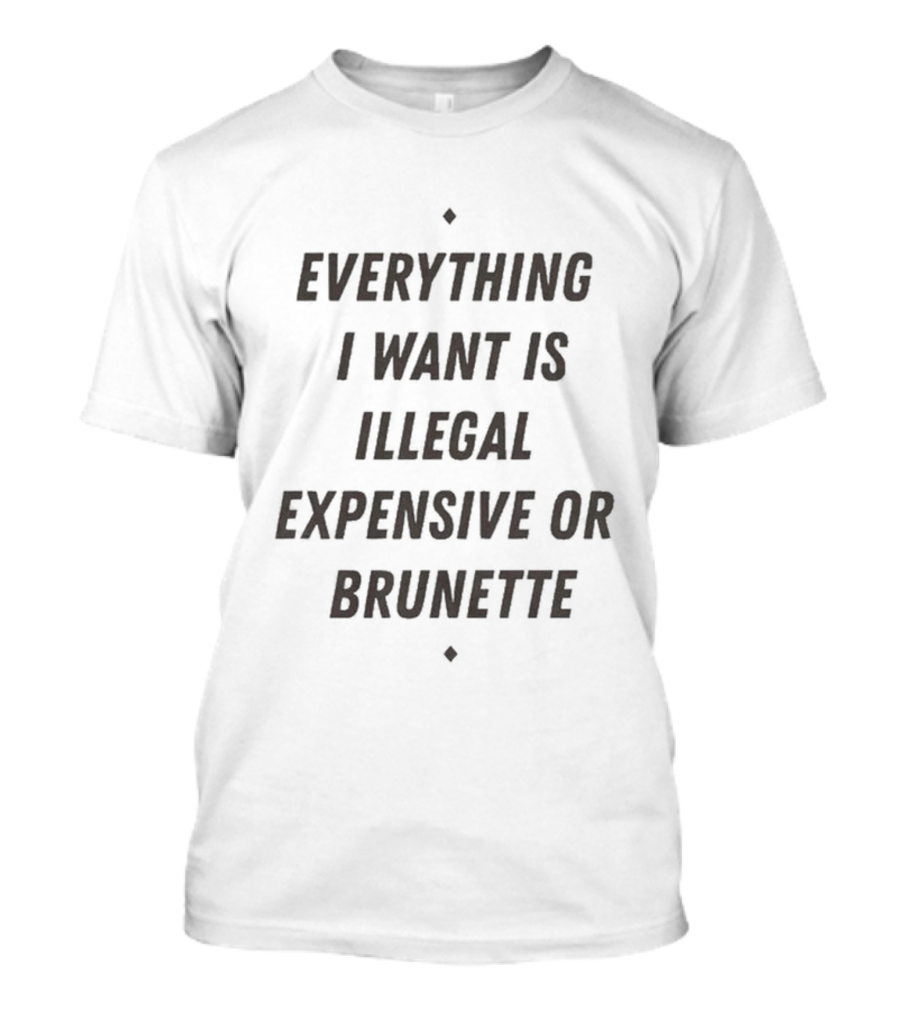 Everything I Want Is Illegal Expensive Or Brunette T-Shirt