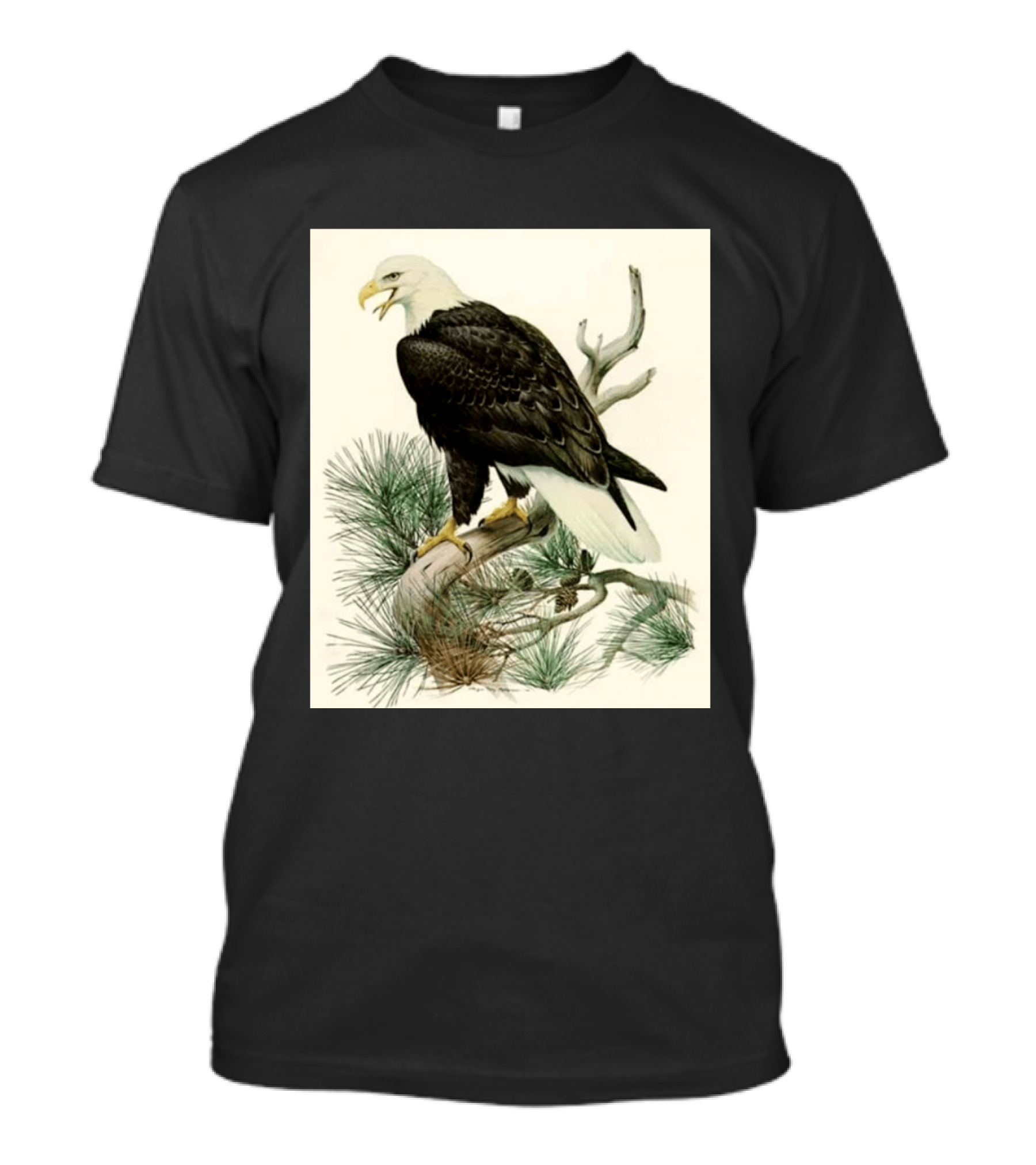 Roger Tory Peterson Bald Eagle Illustration On Stone Background 2026 T-Shirt