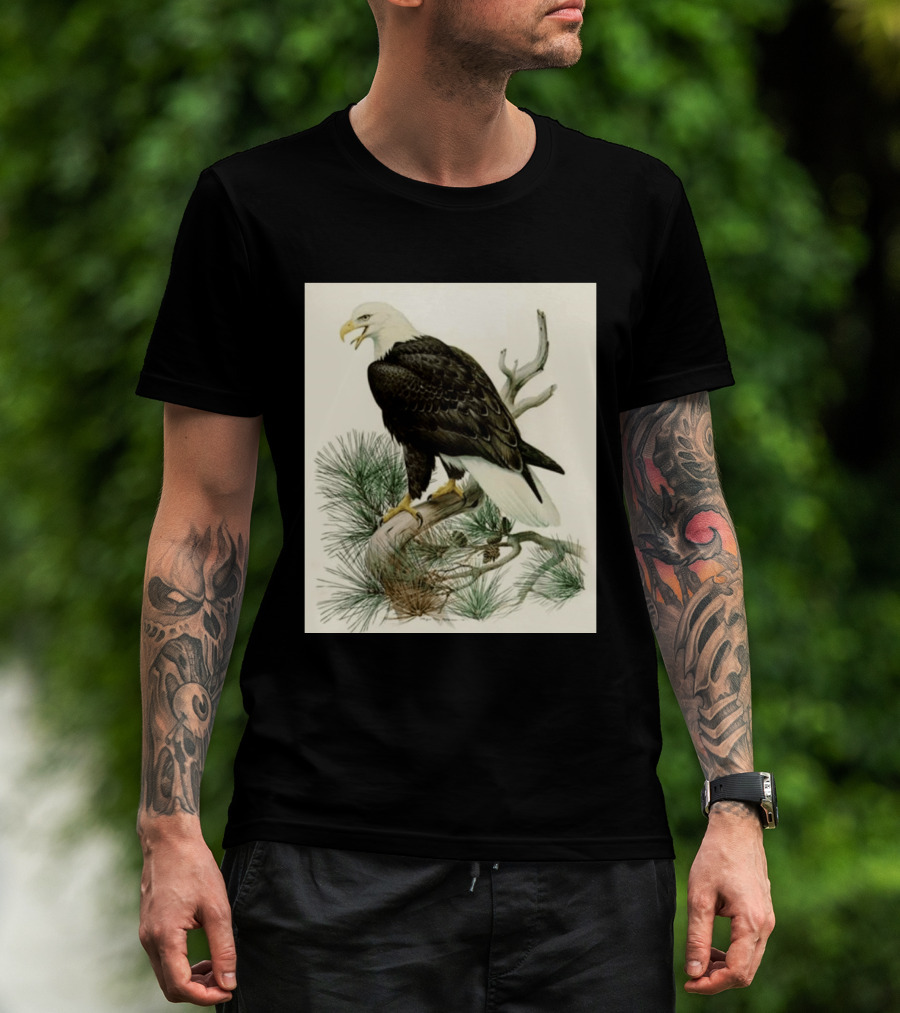 Roger Tory Peterson Bald Eagle Illustration On Stone Background 2026 T-Shirt