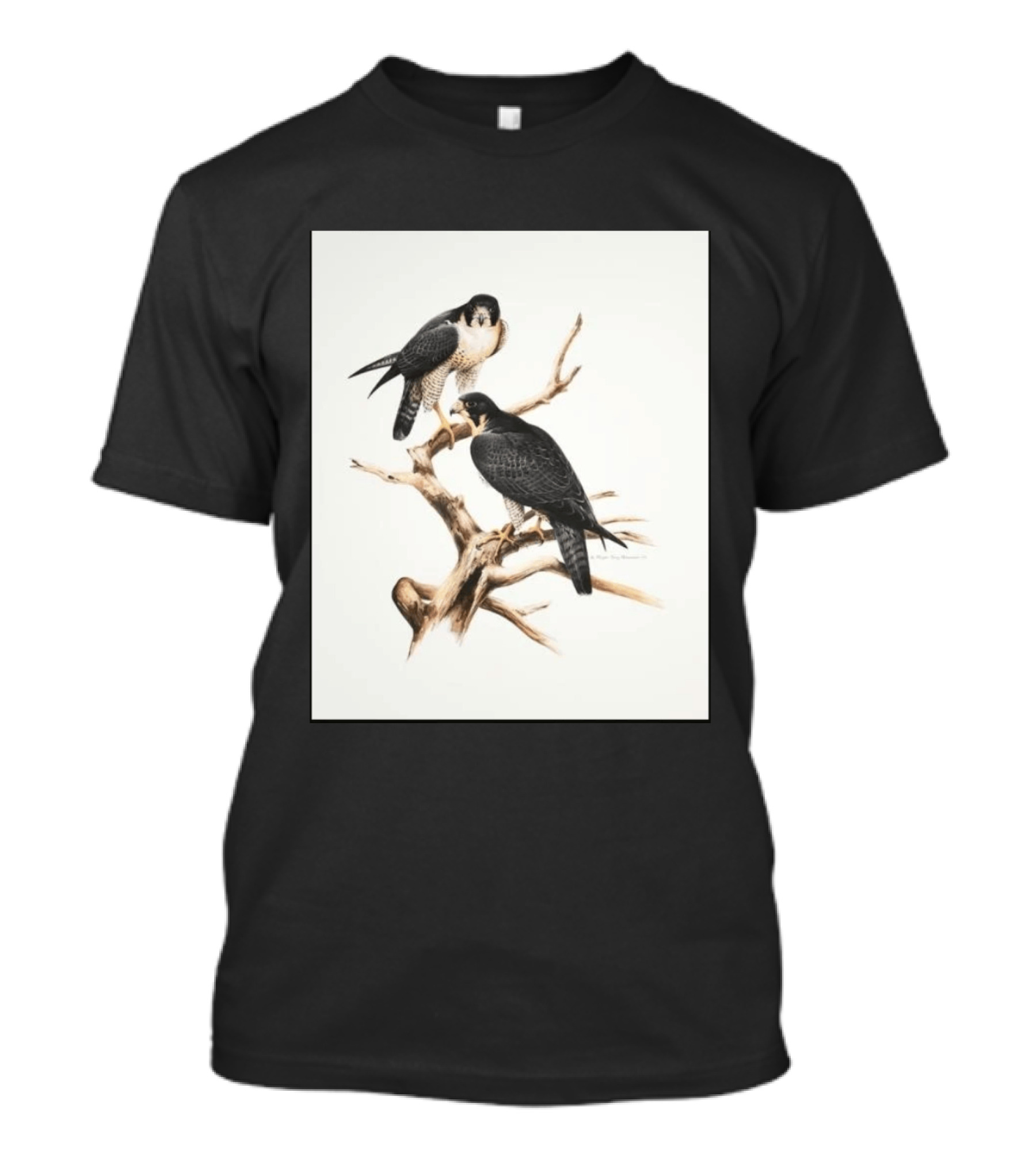 Roger Tory Peterson Peregrines 2026 Adult Ash Bird T-Shirt