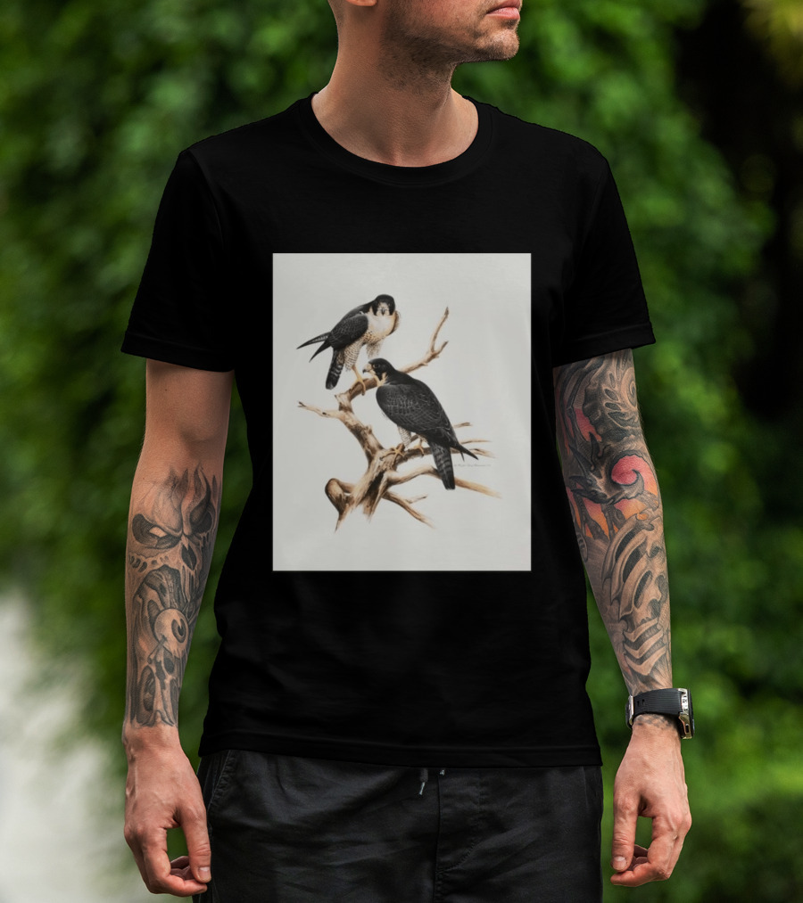 Roger Tory Peterson Peregrines 2026 Adult Ash Bird T-Shirt