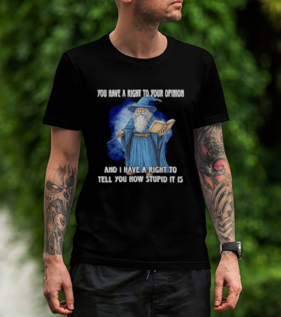Wizard You Have A Right To Your Opinion And I Have A Right To Tell You How Stupid It Is T-Shirt