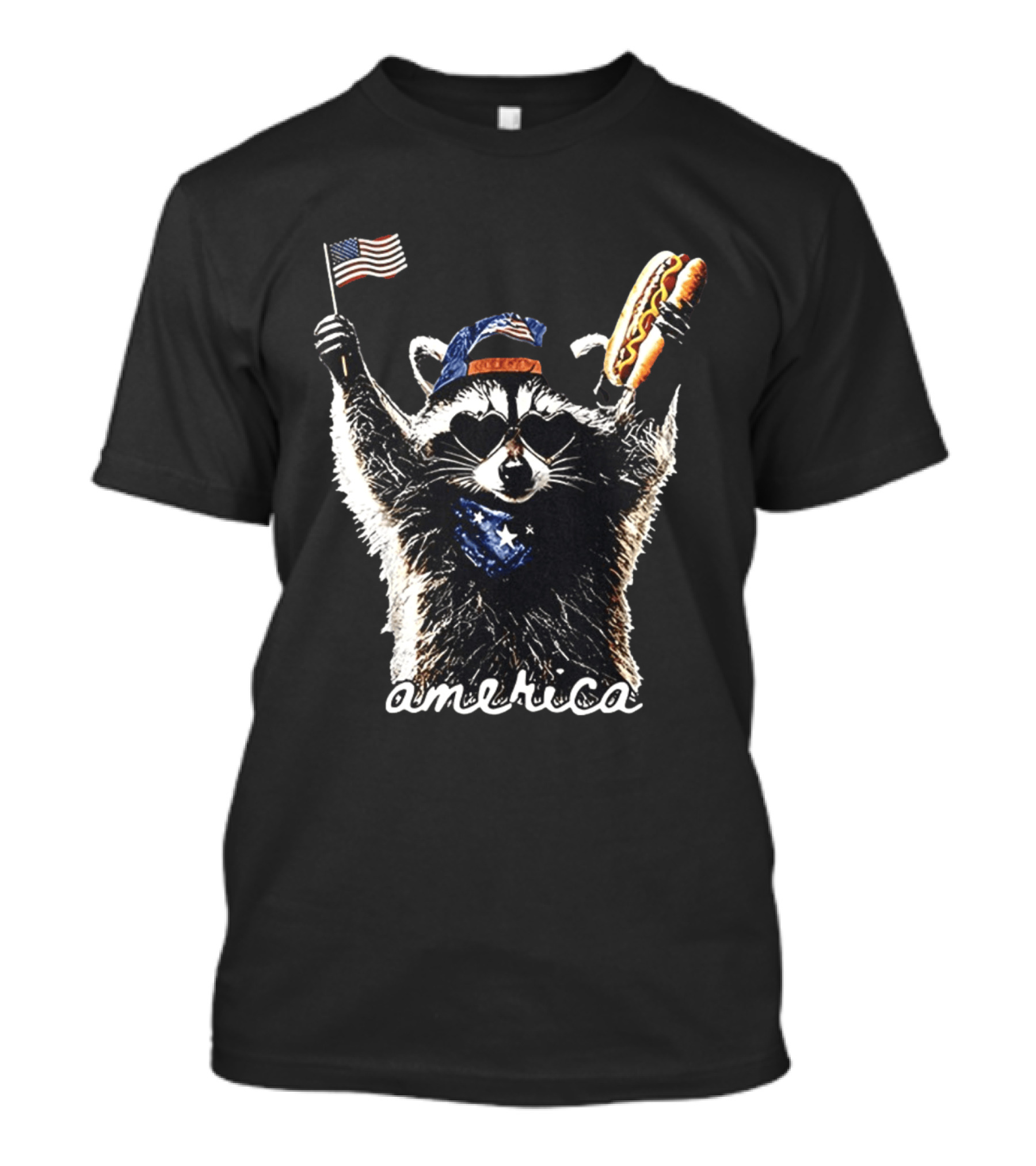 Raccoon Holding Hot Dog And Flag America 4th Of July Celebration T-Shirt