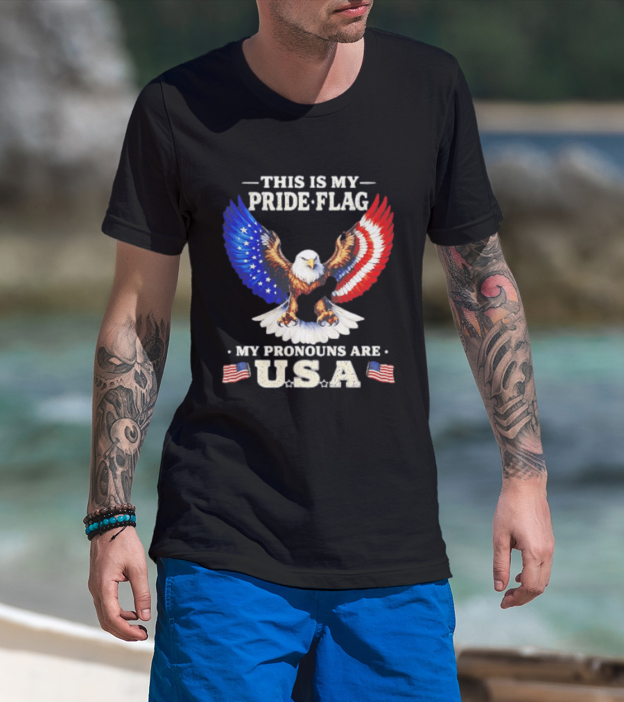This Is My Pride Flag American Eagle My Pronouns Are USA T-Shirt