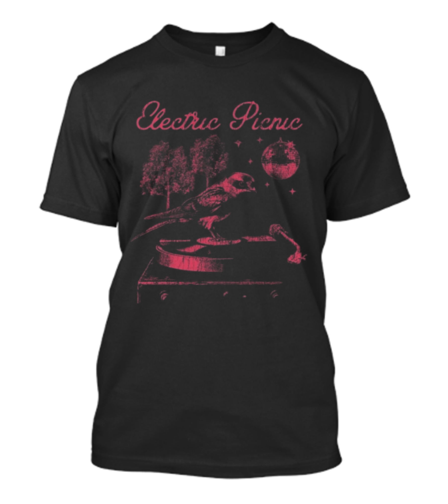 Electric Picnic Store Record Player 2025 Lineup Picnic Nature Scene T-Shirt