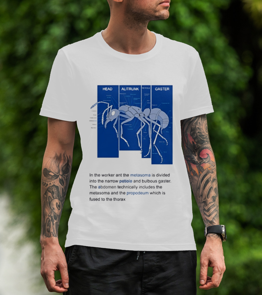 Worker Ant Diagram Head Alitrunk Gaster Metasoma Petiole Biology T-Shirt