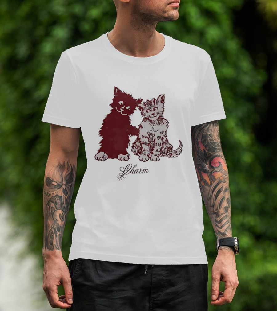 Charm Kittens Cats Hugging T-Shirt