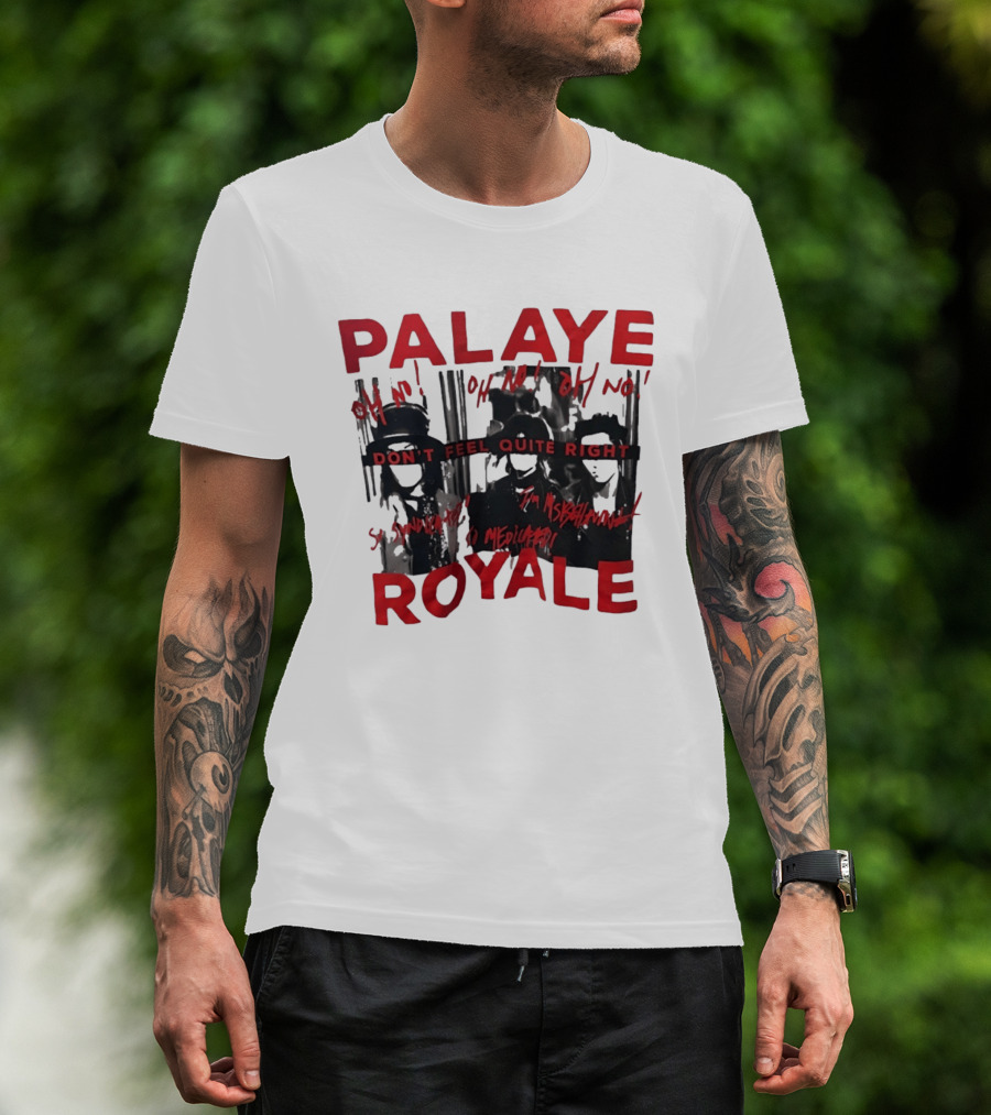 Palaye Royale Don't Feel Quite Right Oh No So Unsatisfied Misunderstood Mediocre T-Shirt