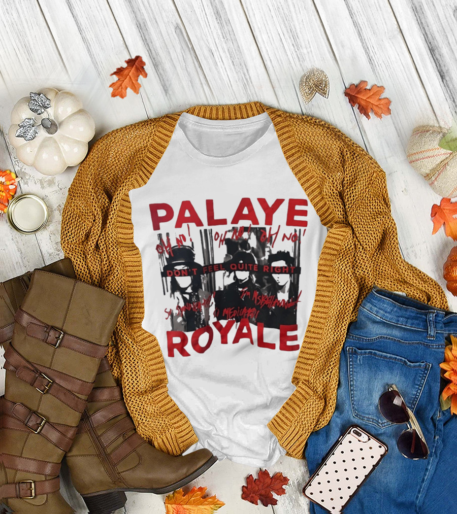 Palaye Royale Don't Feel Quite Right Oh No So Unsatisfied Misunderstood Mediocre T-Shirt
