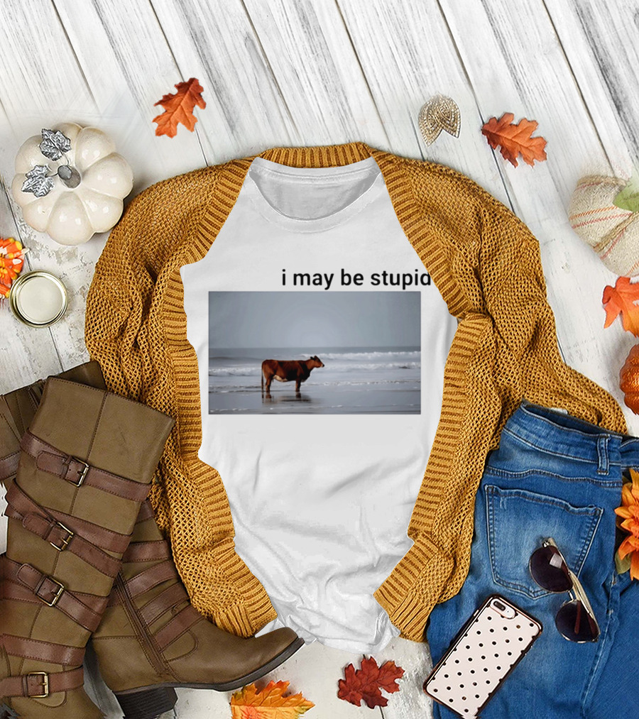 I May Be Stupid Cow At The Beach T-Shirt
