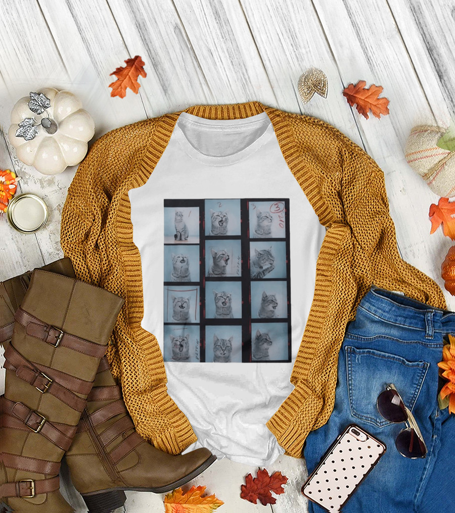 Tabby Cat Film Strip Series With Numbered Frames And Annotations T-Shirt