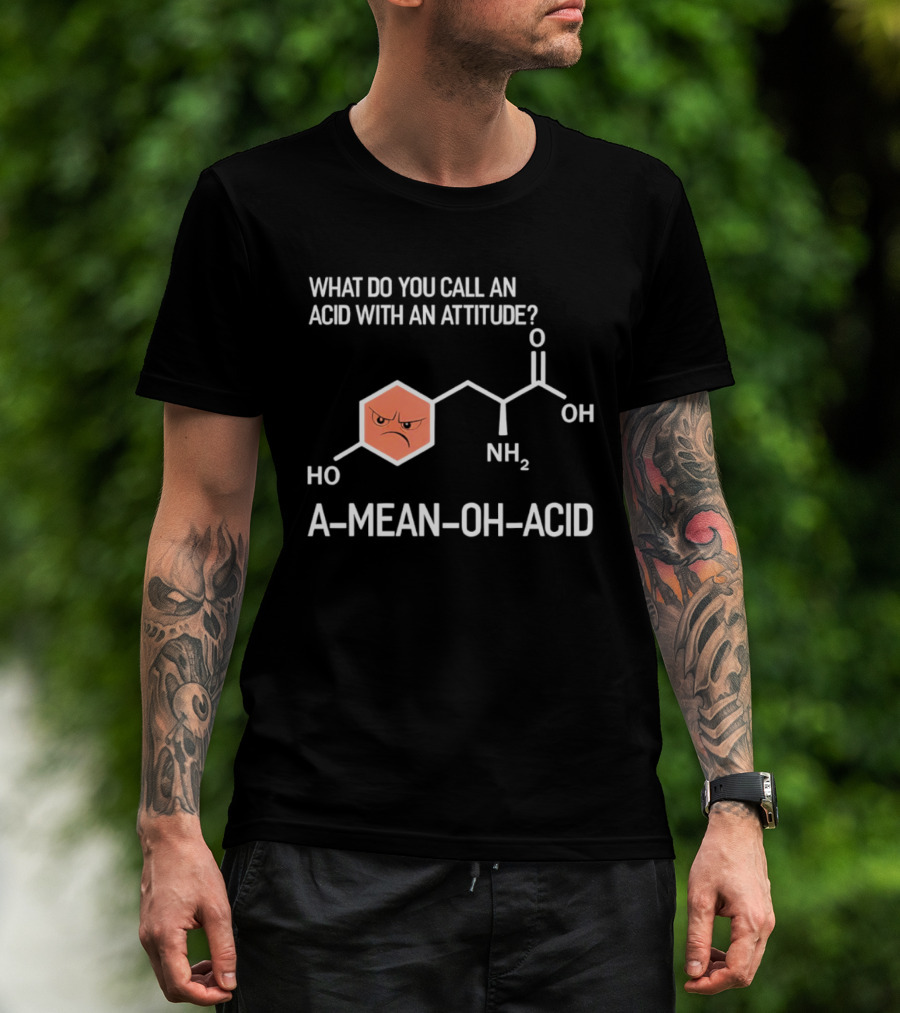 What Do You Call An Acid With An Attitude A Mean Oh Acid Chemistry Pun T-Shirt