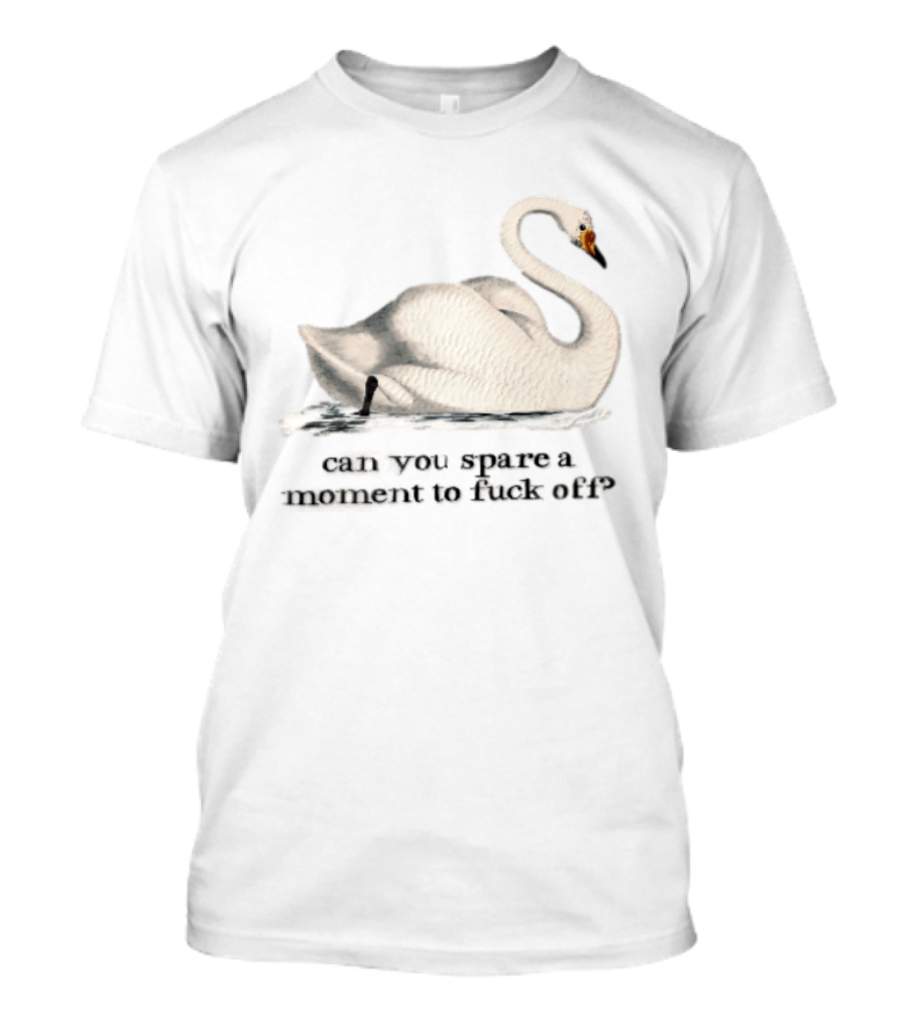 Can You Spare A Moment To Fuck Off White Swan Floating Water T-Shirt