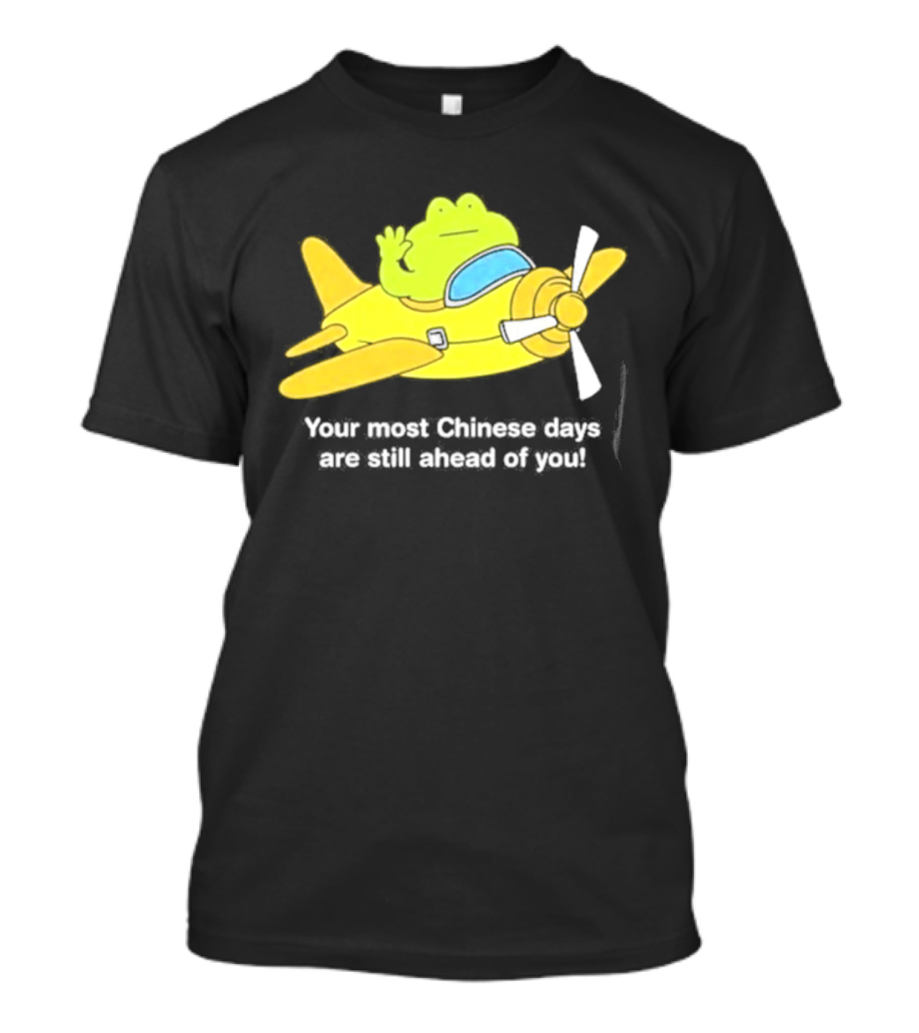Frog Your Most Chinese Days Are Still Ahead Of You Airplane Scene T-Shirt