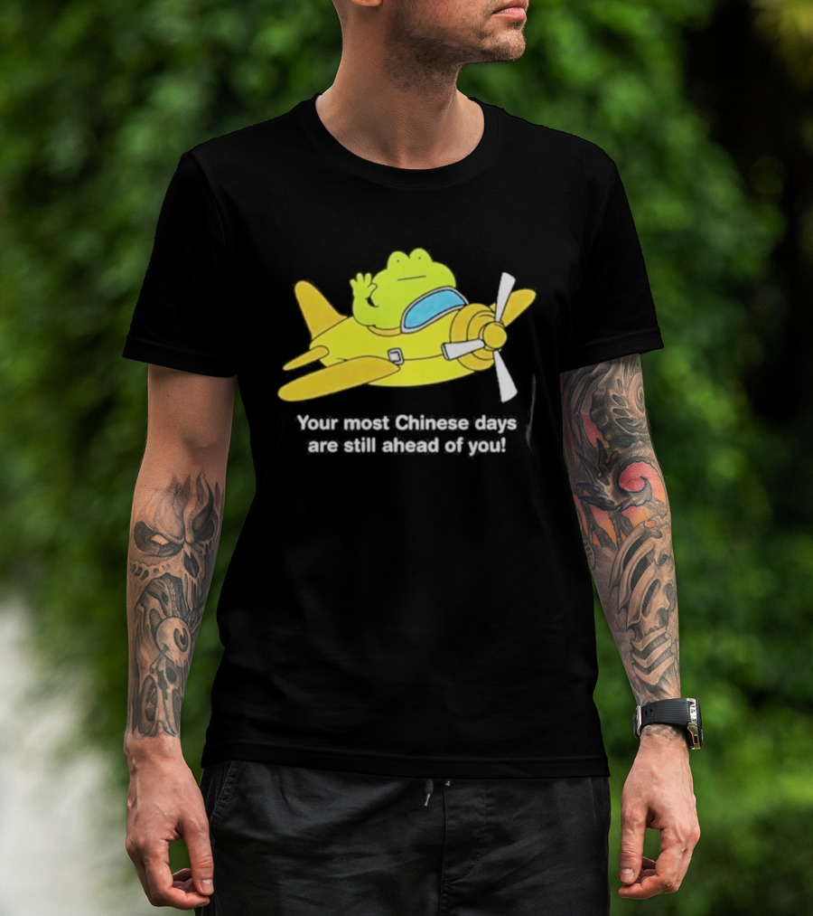 Frog Your Most Chinese Days Are Still Ahead Of You Airplane Scene T-Shirt