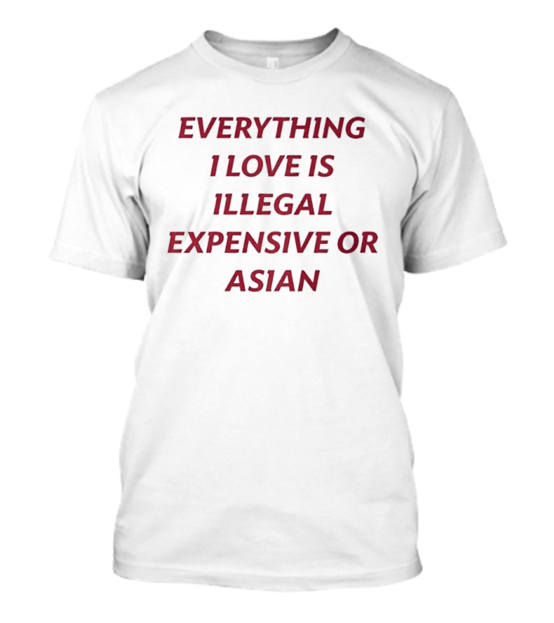 Everything I Love Is Illegal Expensive Or Asian T-Shirt
