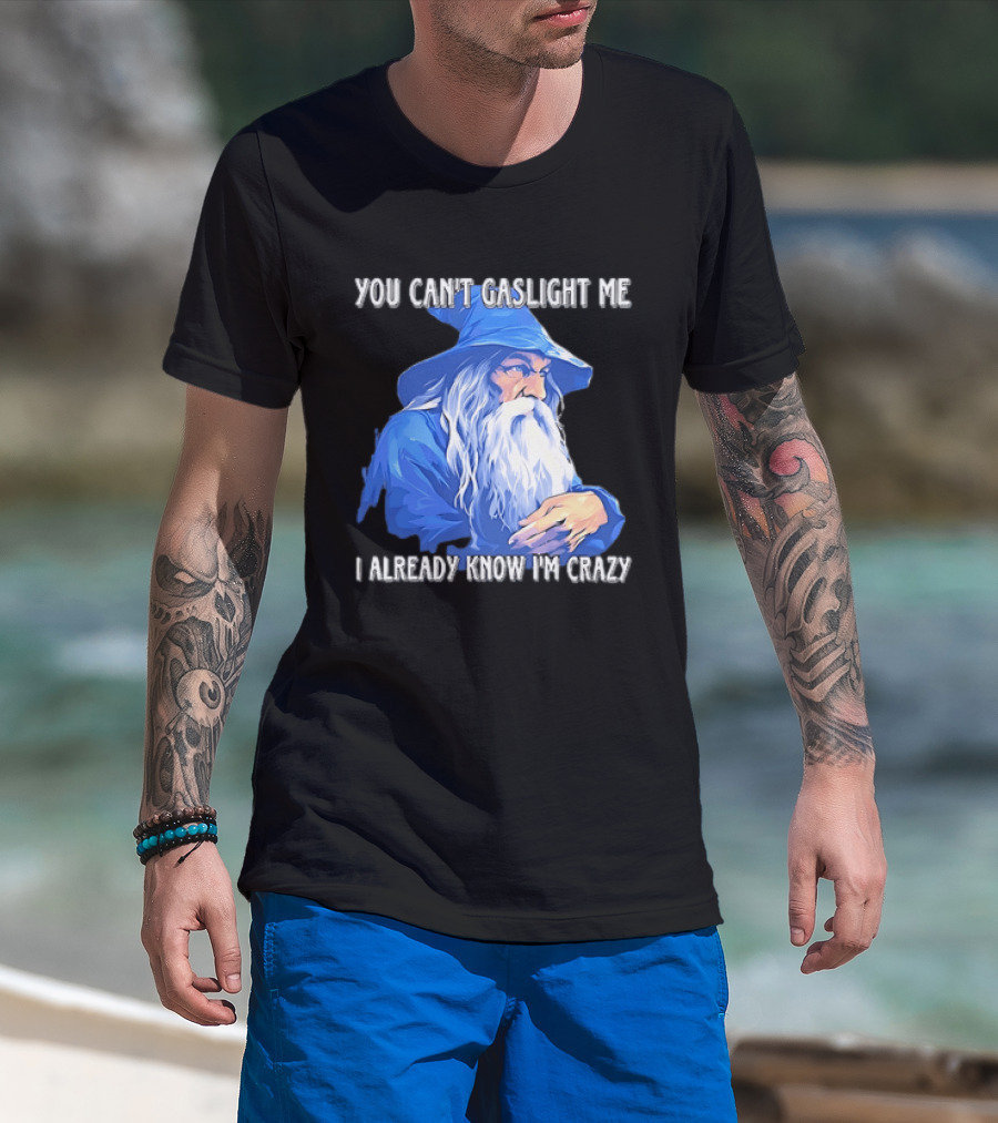 You Can't Gaslight Me I Already Know I'm Crazy Wizard Robe And Hat T-Shirt