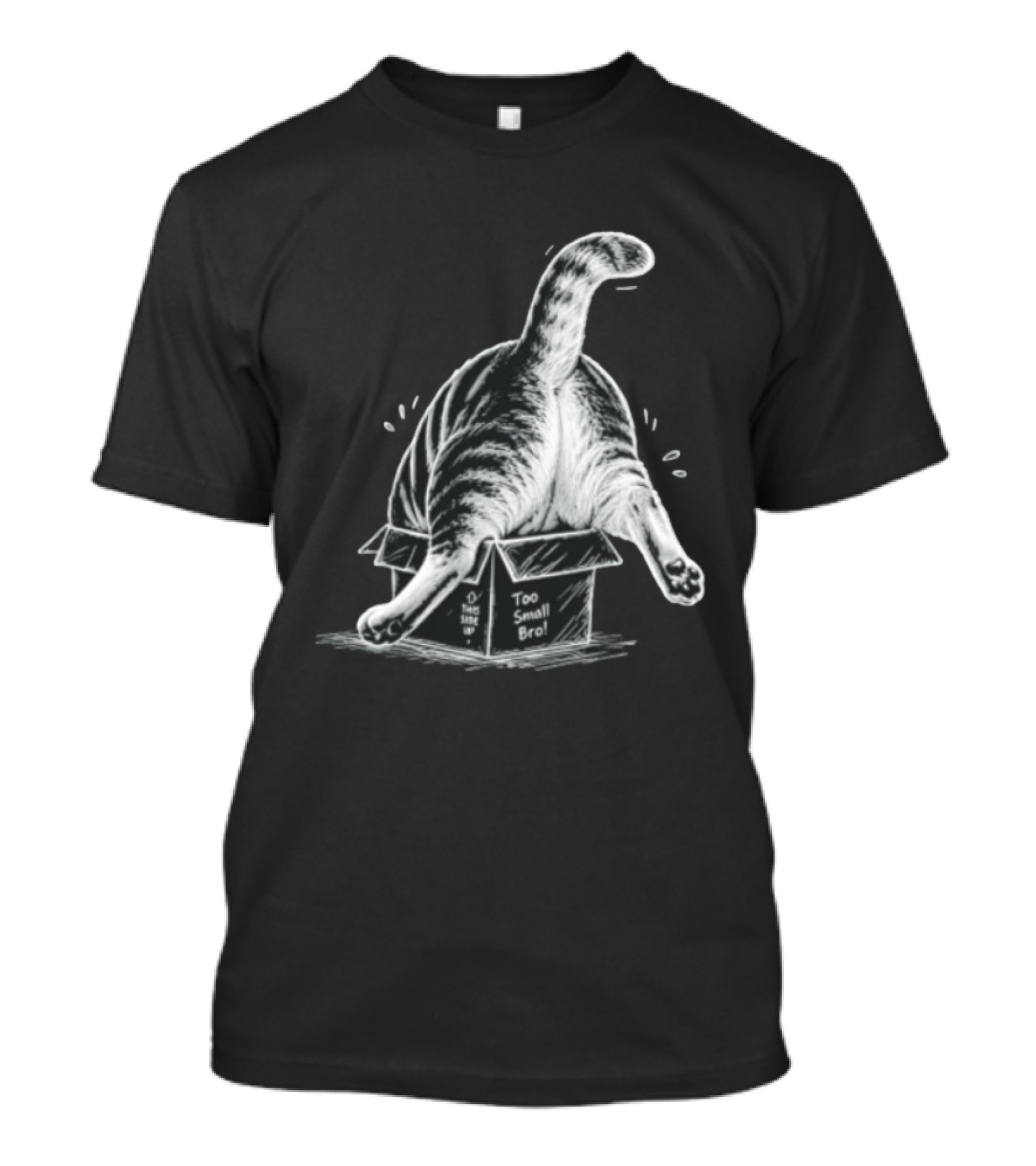 Too Small Bro Tabby Cat Stuck In Box Rear View T-Shirt