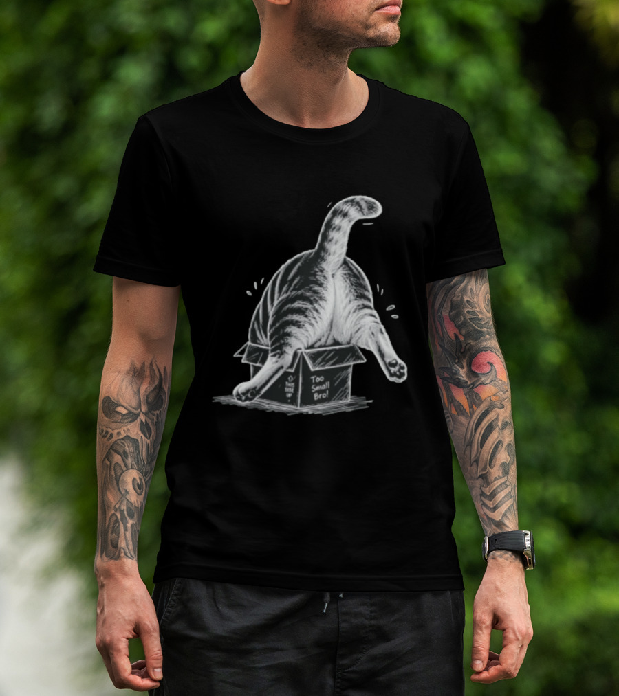 Too Small Bro Tabby Cat Stuck In Box Rear View T-Shirt