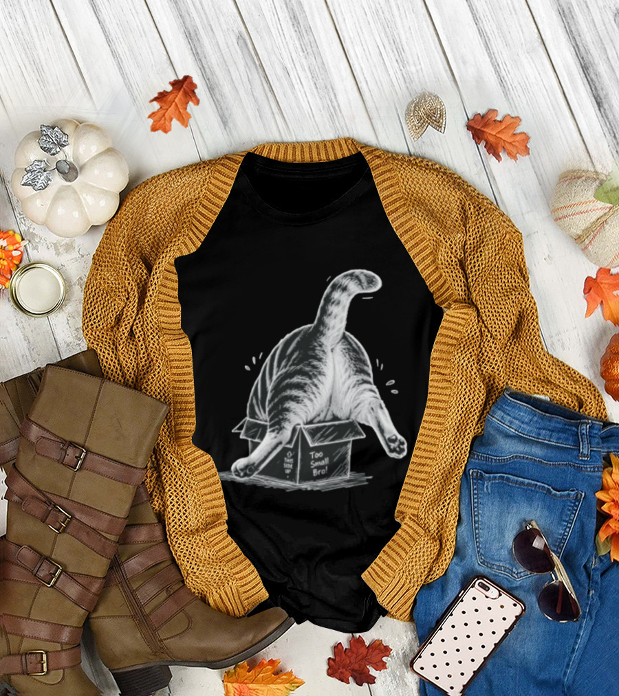Too Small Bro Tabby Cat Stuck In Box Rear View T-Shirt