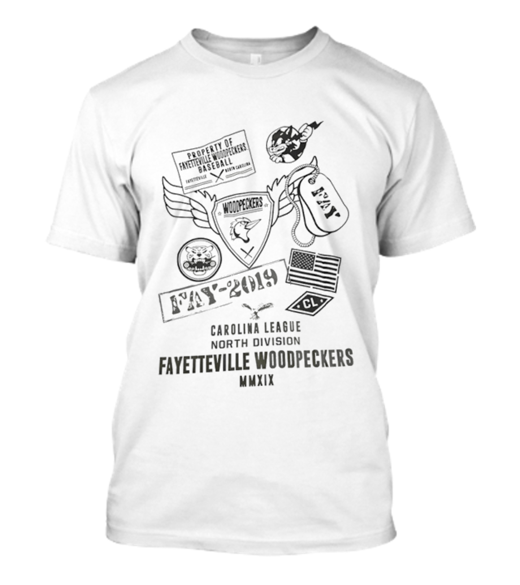 Fayetteville Woodpeckers Property Of Baseball Carolina League North Division 2019 MNXIX FAY T-Shirt