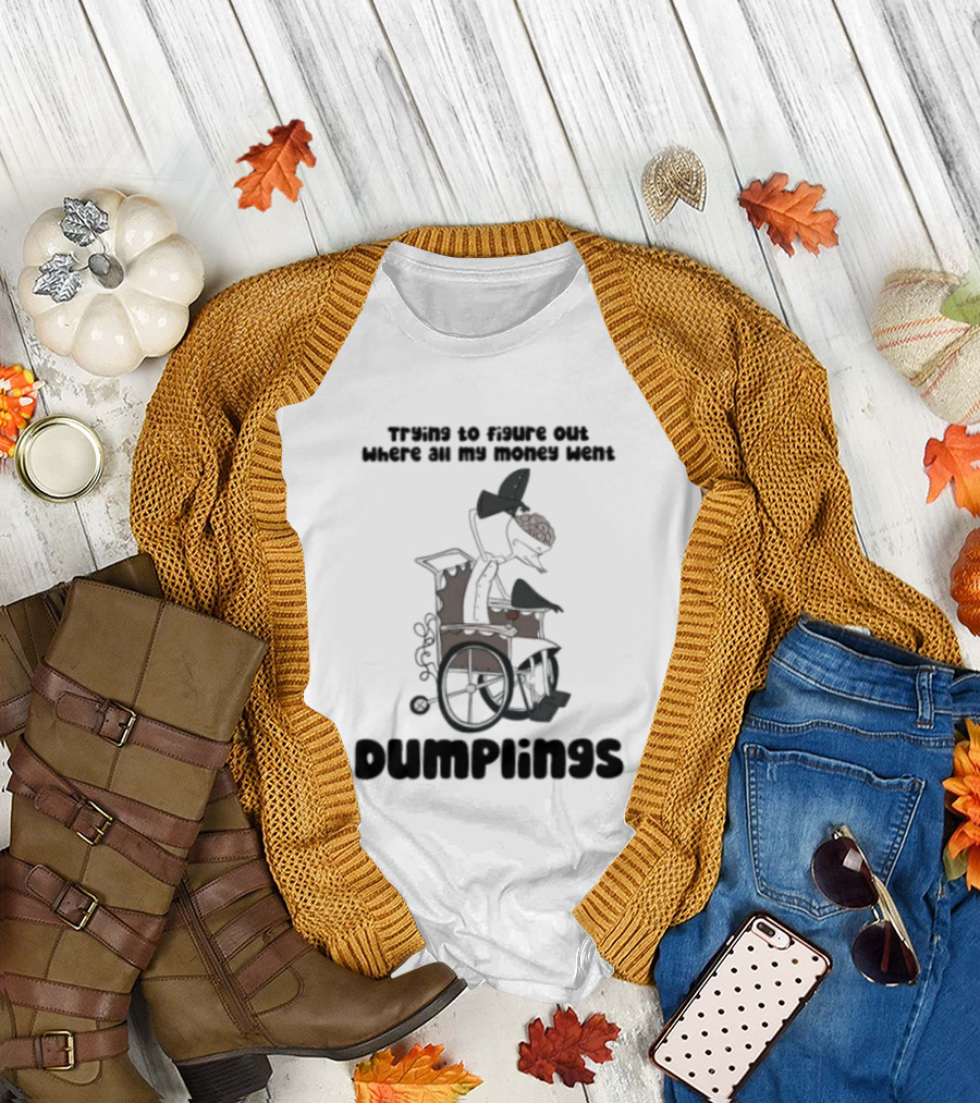 Trying To Figure Out Where All My Money Went Dumplings Vintage Cartoon T-Shirt